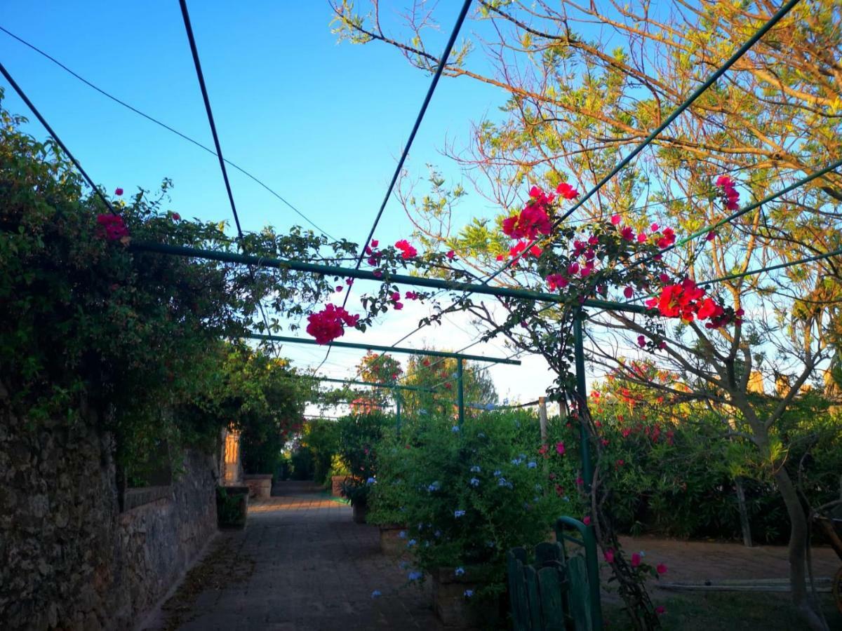 Trepuzzi Masseria Provenzani 빌라 외부 사진