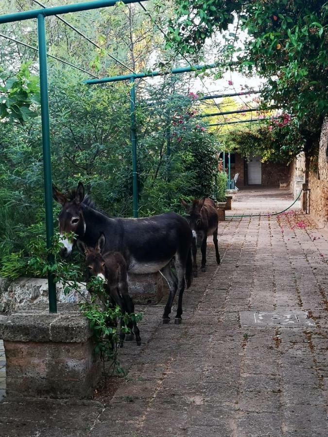 Trepuzzi Masseria Provenzani 빌라 외부 사진
