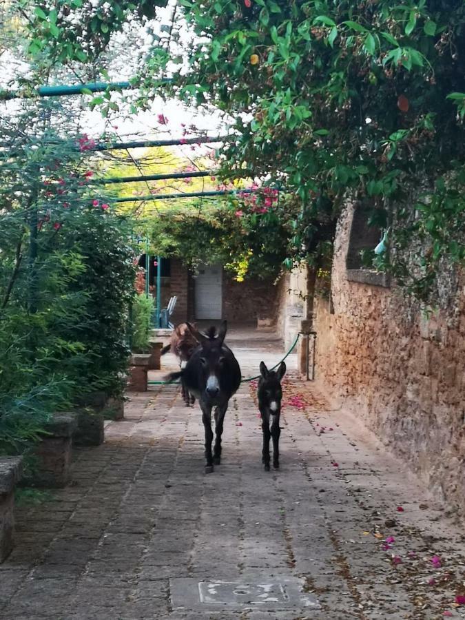 Trepuzzi Masseria Provenzani 빌라 외부 사진